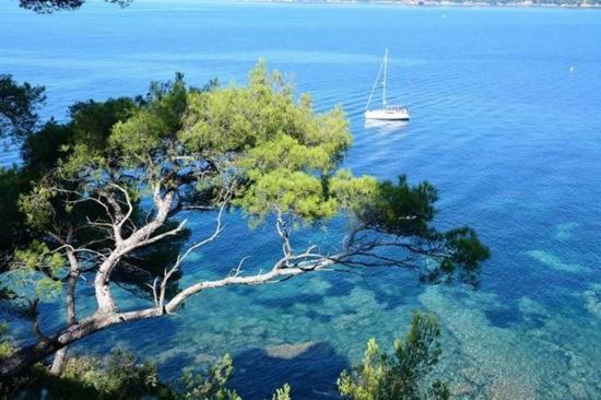 Eco-Lodge Lou Pantai Le Pradet Eksteriør bilde