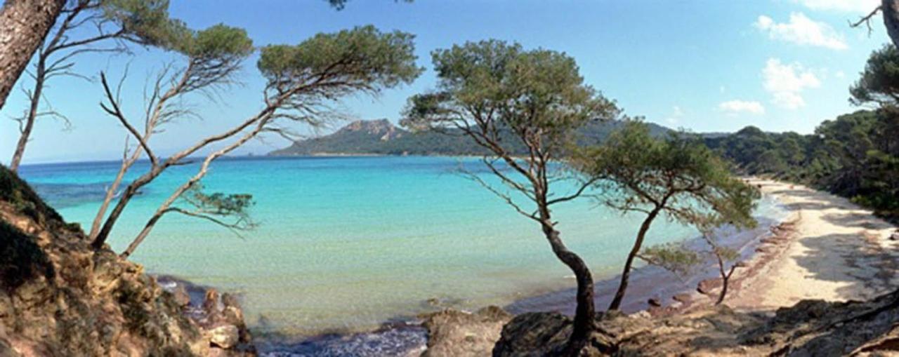 Eco-Lodge Lou Pantai Le Pradet Eksteriør bilde